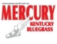 Мятлик луговой сорт Меркурий/ Mercury 